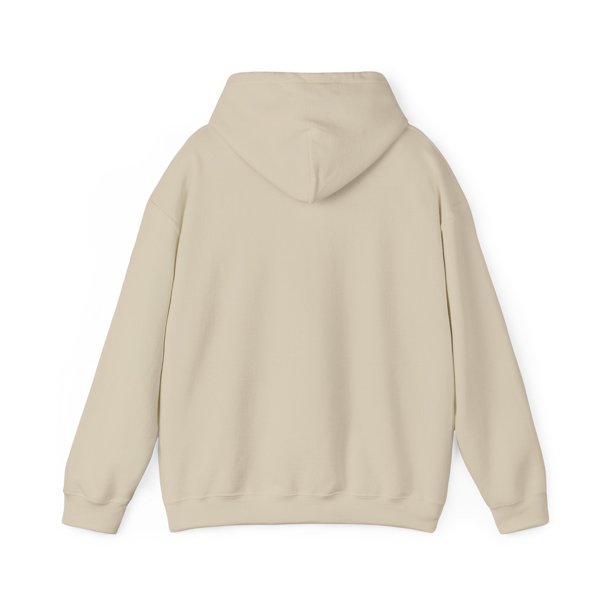 RIZZ Graphic Hoodie | Premium Streetwear Hoodie | The Fashion Studio