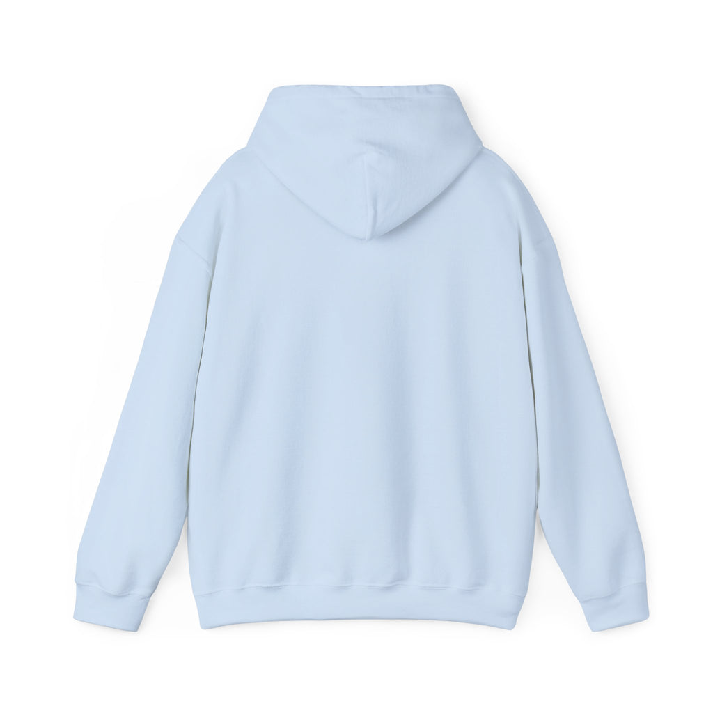 RIZZ Graphic Hoodie | Premium Streetwear Hoodie | The Fashion Studio