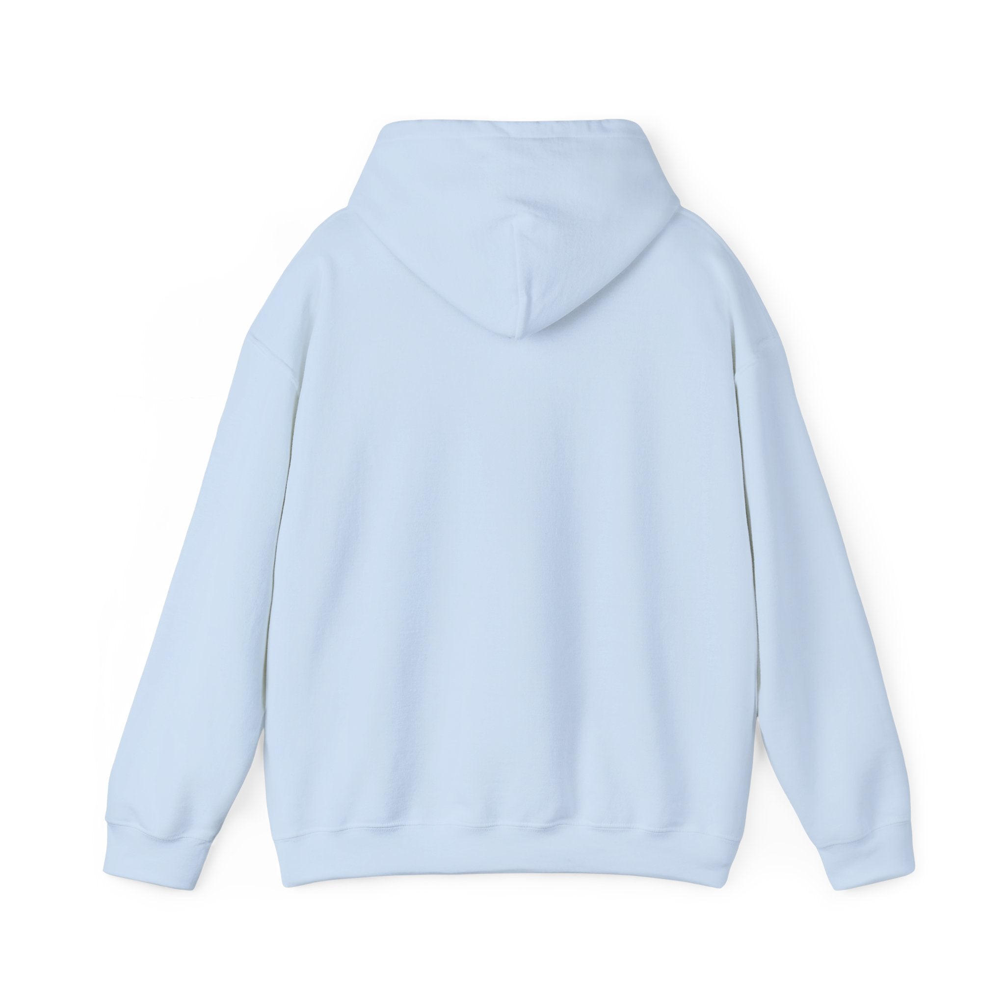 RIZZ Graphic Hoodie | Premium Streetwear Hoodie | The Fashion Studio