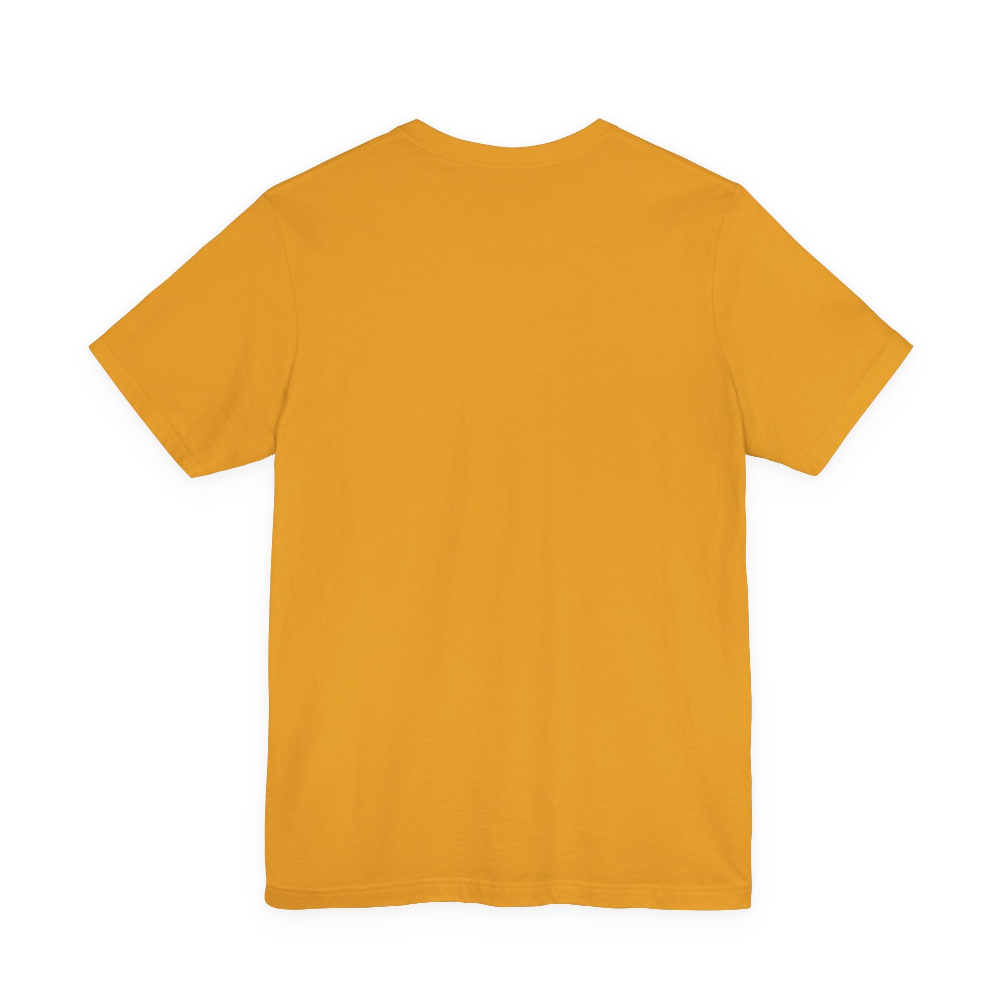 Mens X-Press Quality Jersey Plain Short Sleeve Tee